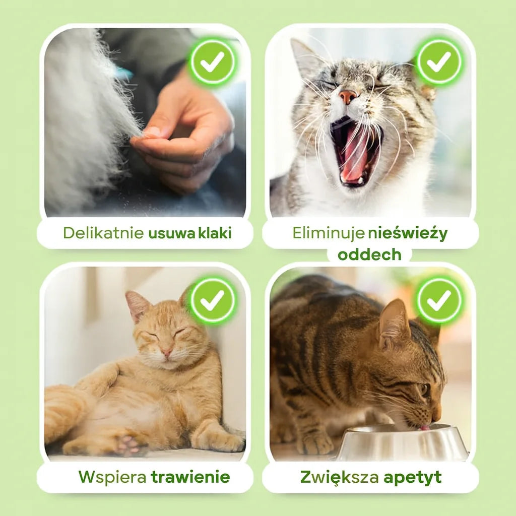 MrauDentis – Natürliche Katzenminze-Sticks für gesunde Zähne und zur Entfernung von Haarballen