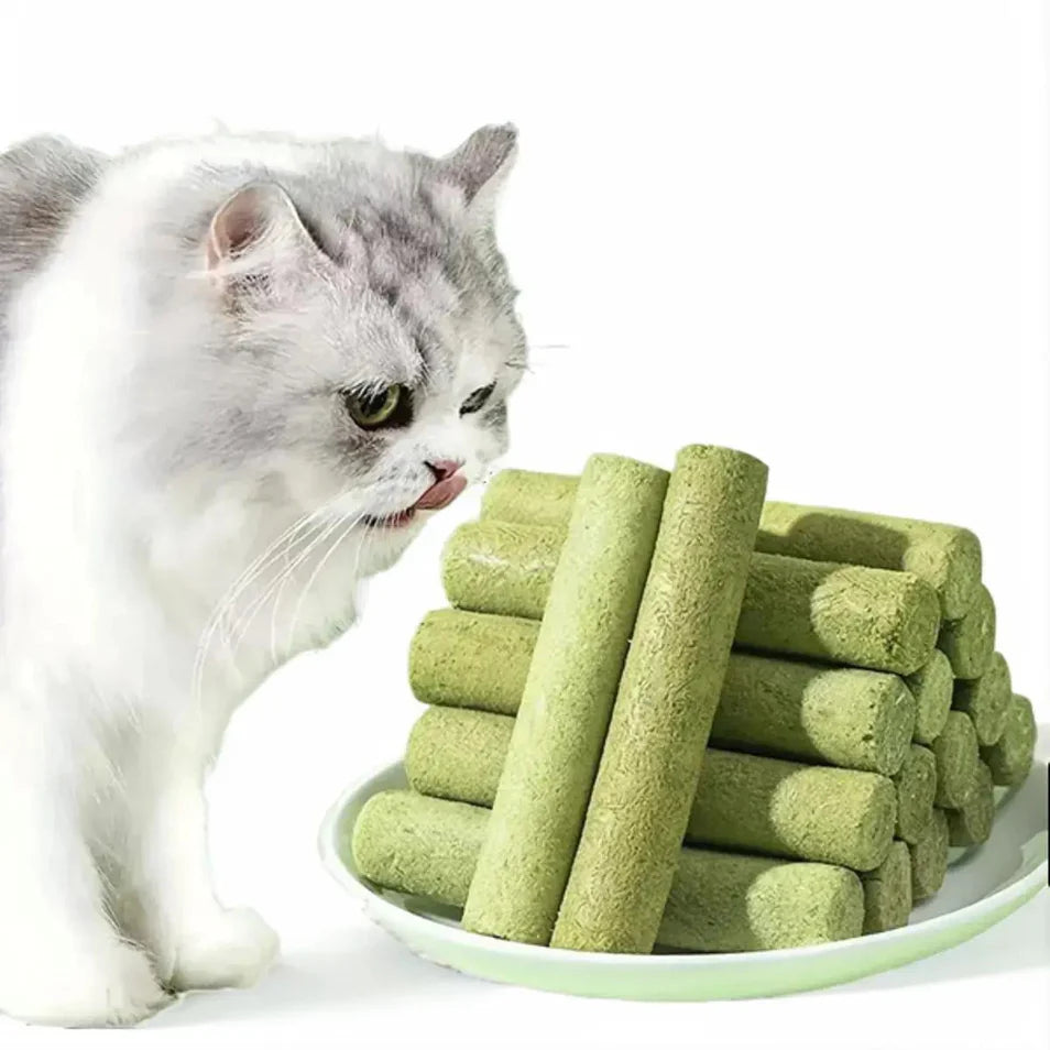 MrauDentis – Natürliche Katzenminze-Sticks für gesunde Zähne und zur Entfernung von Haarballen