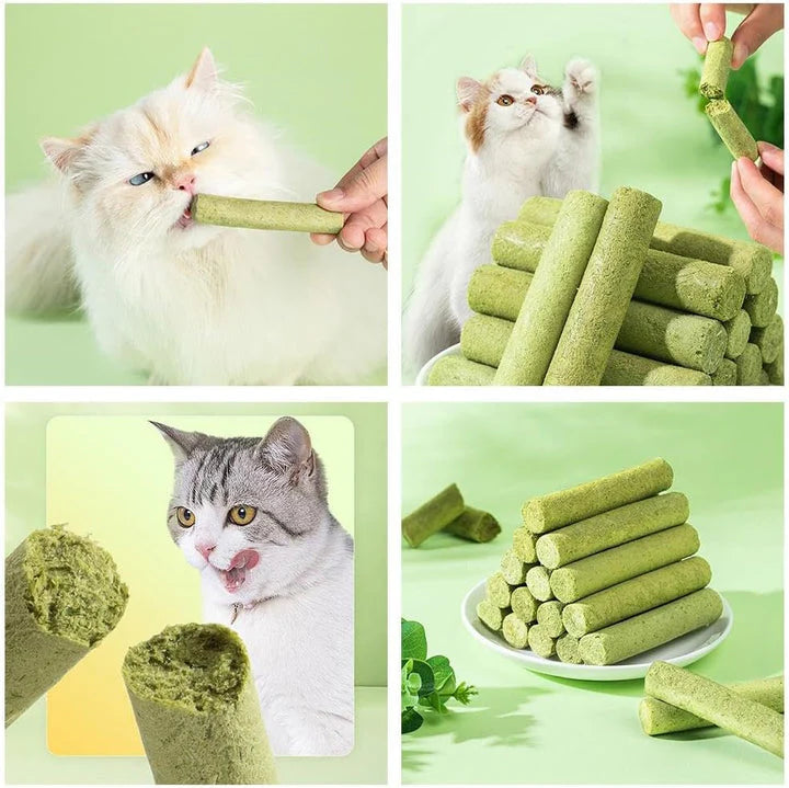 MrauDentis – Natürliche Katzenminze-Sticks für gesunde Zähne und zur Entfernung von Haarballen