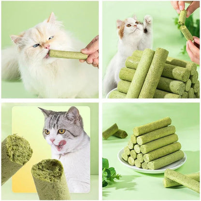 MrauDentis – Natürliche Katzenminze-Sticks für gesunde Zähne und zur Entfernung von Haarballen